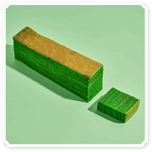 Evergreen Pandan