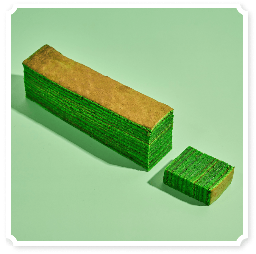 Evergreen Pandan